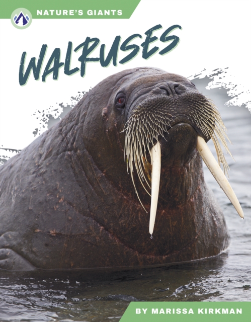 Walruses - Marissa Kirkman