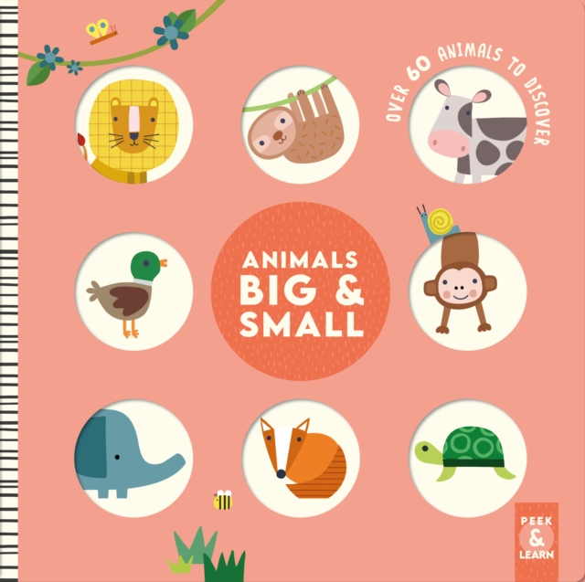 Animals Big & Small - Rebecca Weerasakera