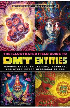 Poza produsului Illustrated Field Guide to DMT Entities - David Jay|huntley Brown