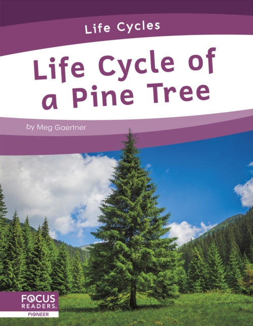 Life Cycle of a Pine Tree - Meg Gaertner