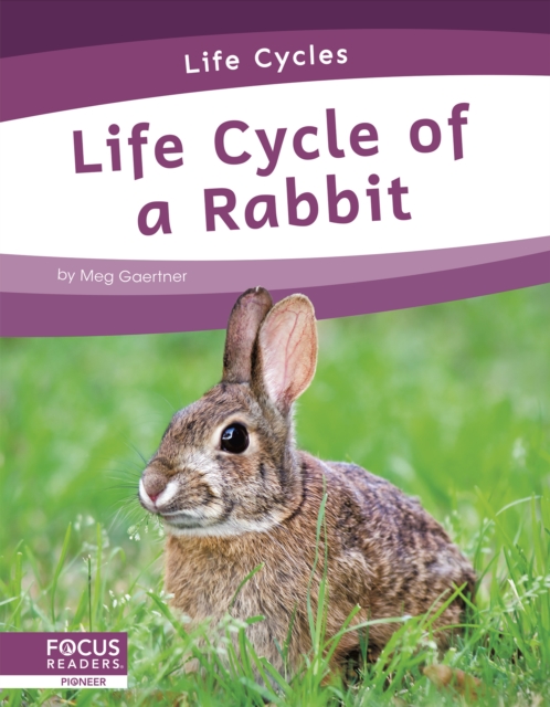 Life Cycle of a Rabbit - Meg Gaertner