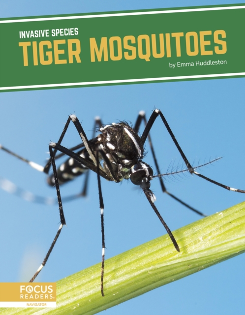 Tiger Mosquitoes - Emma Huddleston