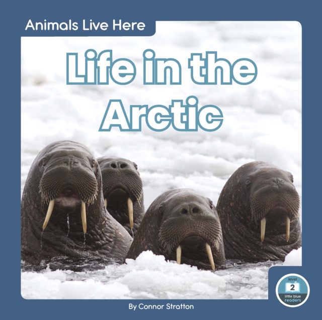 Life in the Arctic - Connor Stratton