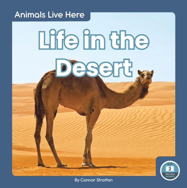 Life in the Desert - Connor Stratton