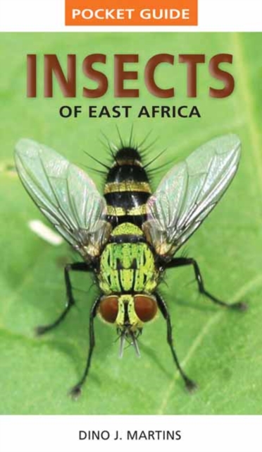 Pocket Guide Insects of East Africa - Dino J. Martins