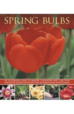 Coperta cărții 'Spring Bulbs -'