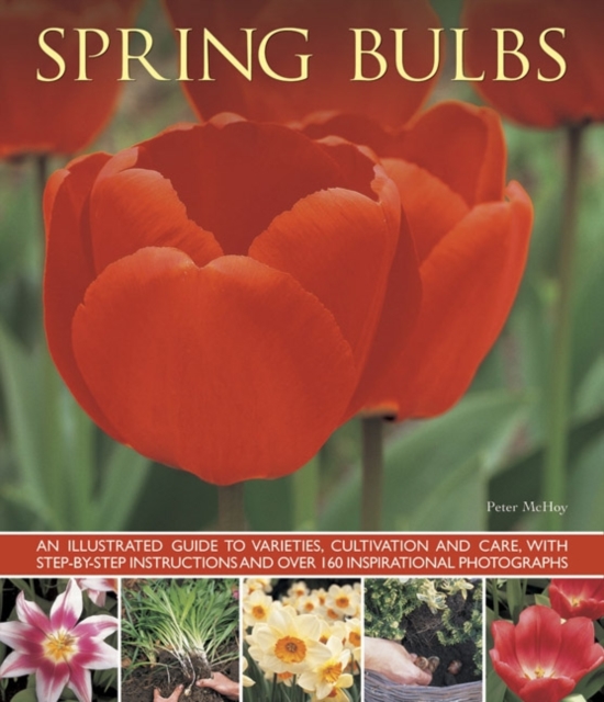 Coperta cărții 'Spring Bulbs -'