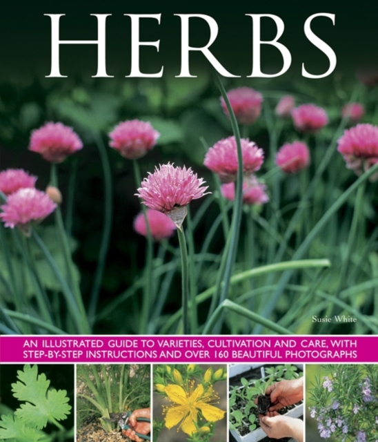 Herbs - Susie White