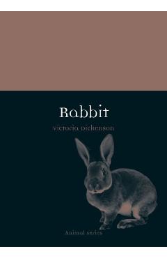 Coperta cărții 'Rabbit - Victoria Dickenson'