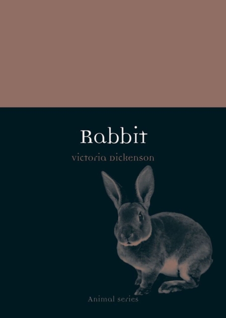 Rabbit - Victoria Dickenson