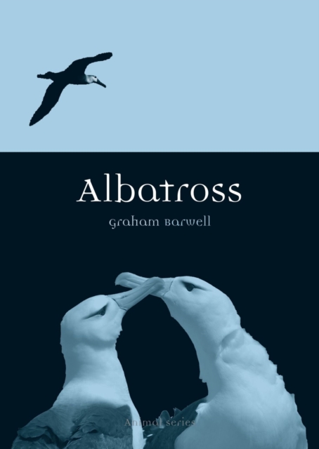 Albatross - Graham Barwell