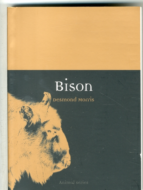 Coperta cărții 'Bison - Desmond Morris'