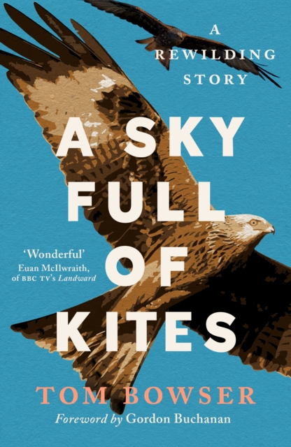 Sky Full of Kites - Tom Bowser