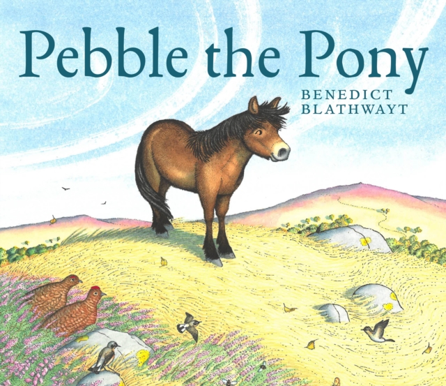 Pebble the Pony - Benedict Blathwayt