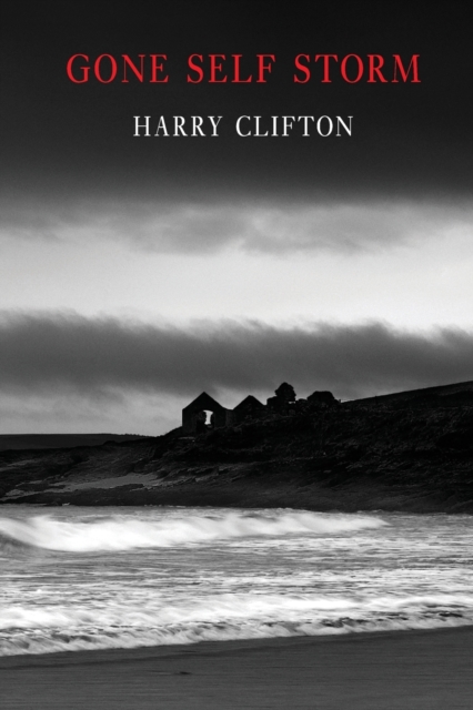 Gone Self Storm - Harry Clifton