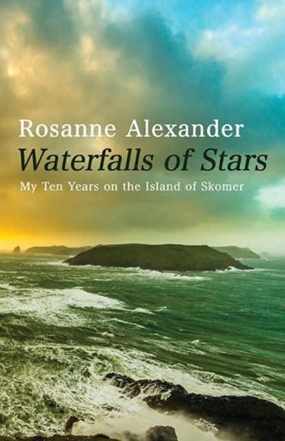 Waterfalls of Stars - Rosanne Alexander