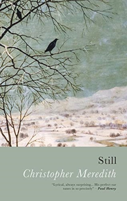 Still - Christopher Meredith