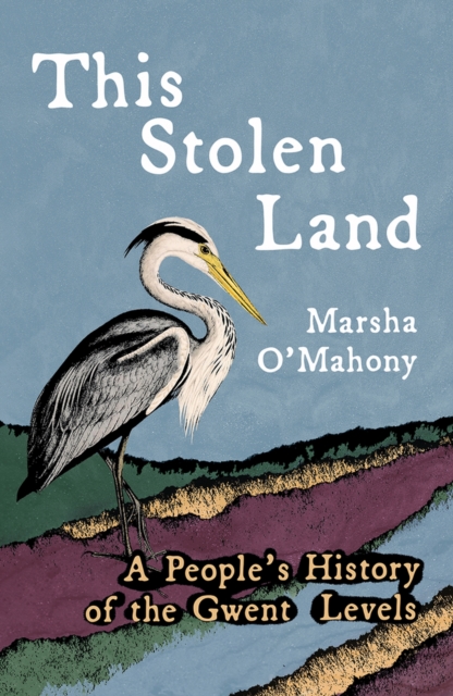 This Stolen Land - Marsha O'mahony