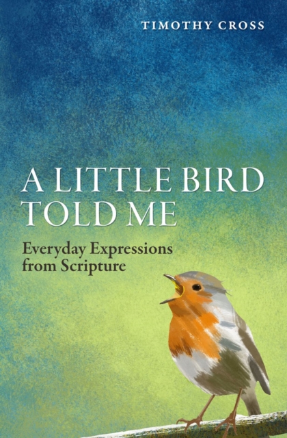 Little Bird Told Me - Timothy Cross