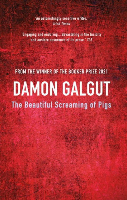 Beautiful Screaming of Pigs - Damon Galgut