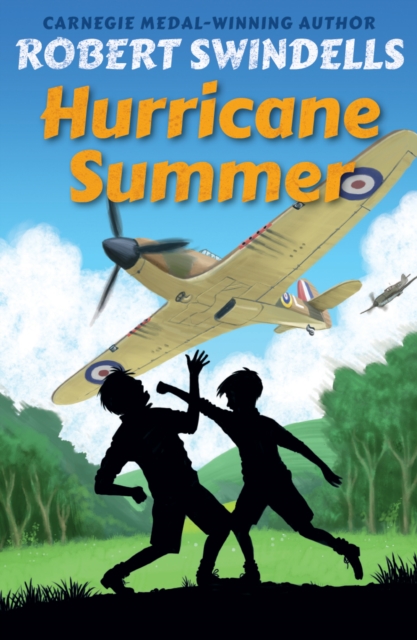 Hurricane Summer - Robert Swindells