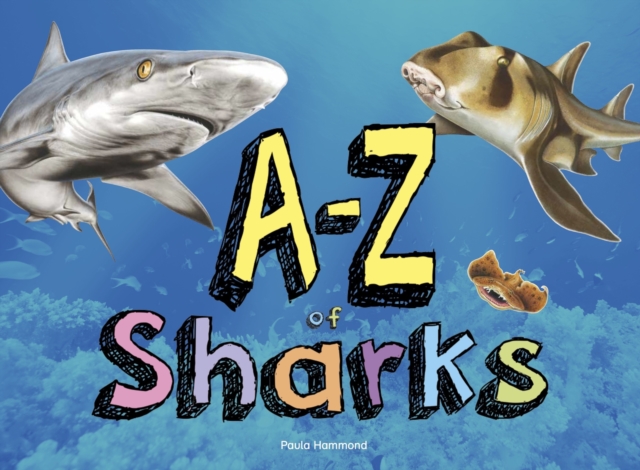 A?Z of Sharks - Paula Hammond