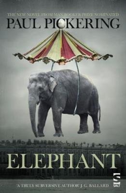 Elephant - Paul Pickering