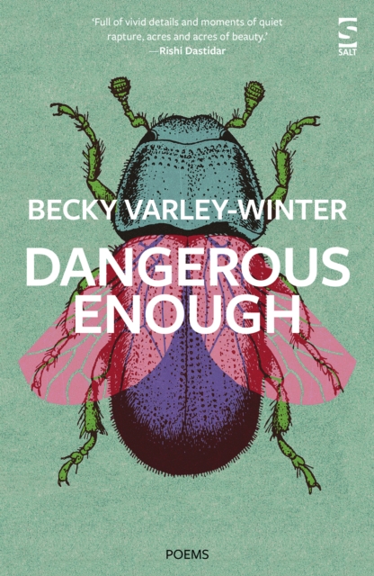 Dangerous Enough - Ms Becky Varley-winter