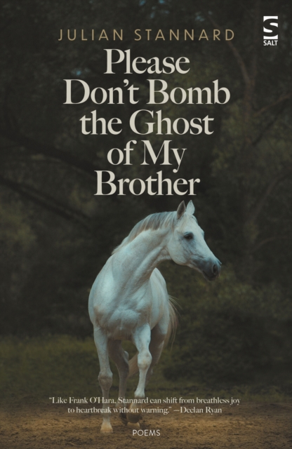 Please Don?t Bomb the Ghost of My Brother - Julian Stannard