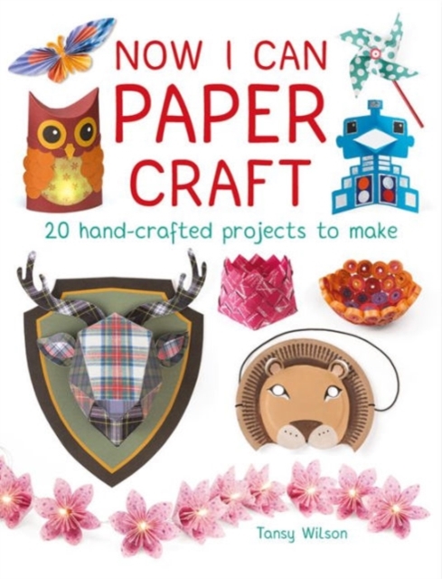 Now I Can Paper Craft: 20 Hand-Crafted Projects to Make - Tansy Wilson