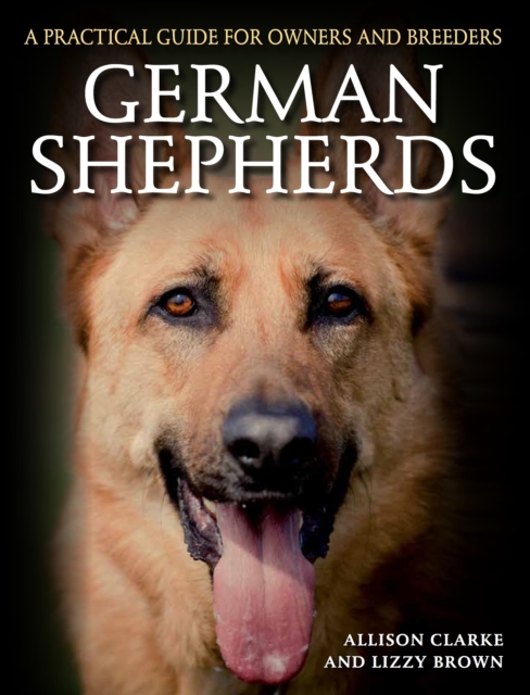 German Shepherds - Allison|brown Clarke