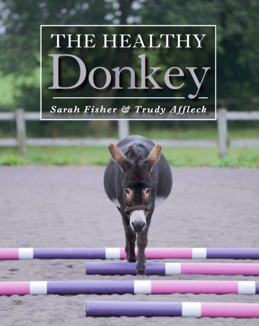 Healthy Donkey - Sarah|affleck Fisher