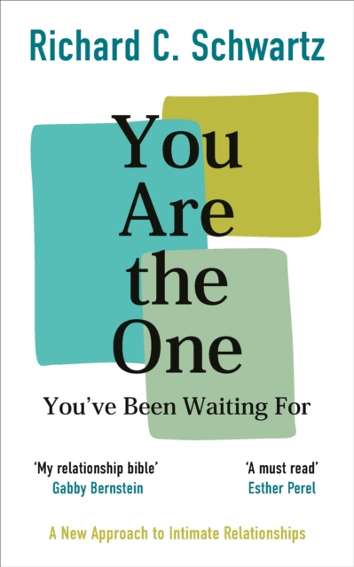 You Are the One You?ve Been Waiting For - Richard Schwartz