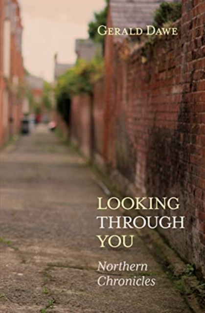 Looking Through You - Gerald Dawe