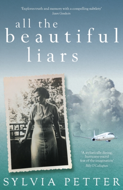 All the Beautiful Liars - Sylvia Petter