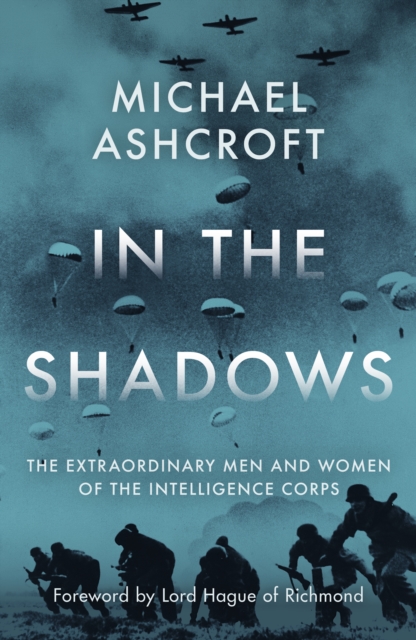 In the Shadows - Michael Ashcroft