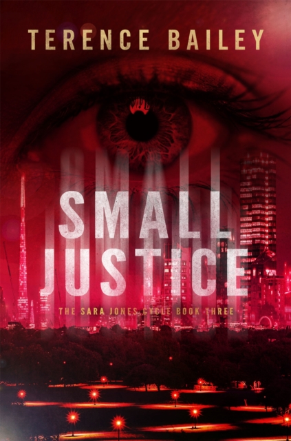 Small Justice - Terence Bailey