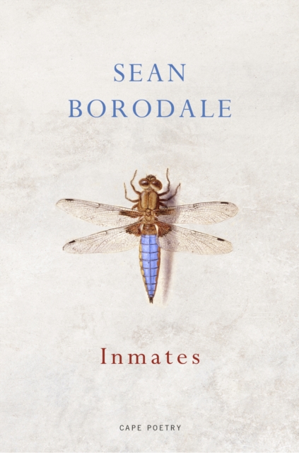 Inmates - Sean Borodale