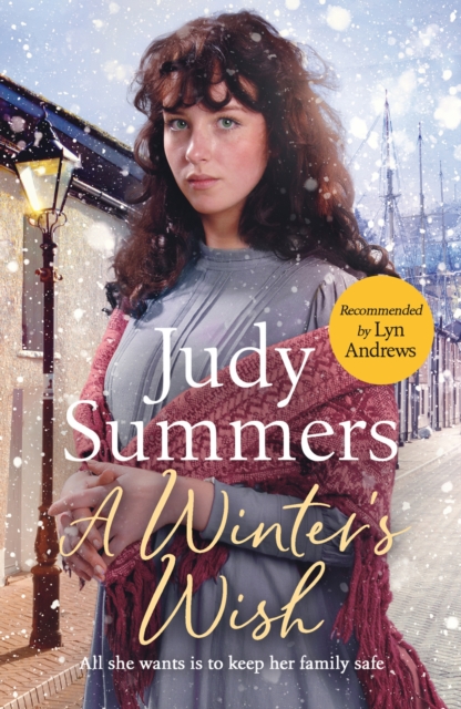 Winter's Wish - Judy Summers