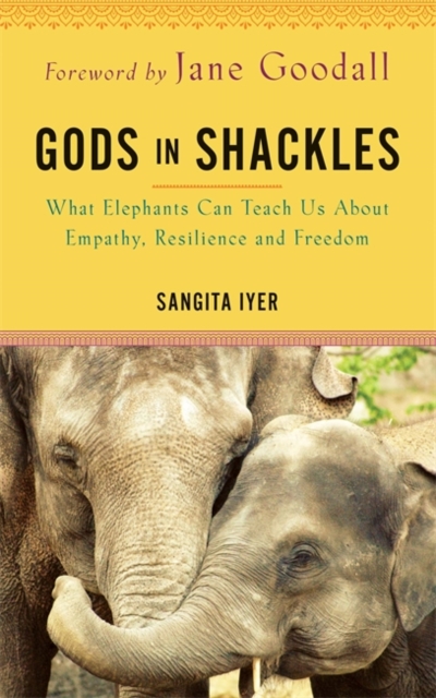 Gods in Shackles - Sangita Iyer