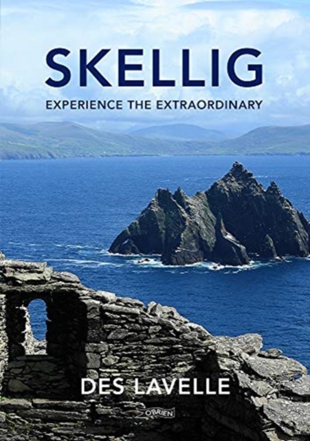 Skellig - Des Lavelle