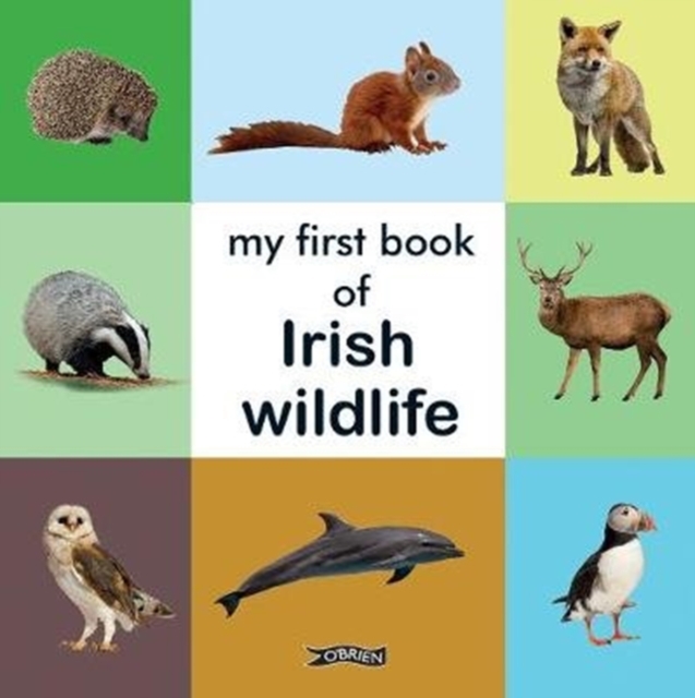 My First Book of Irish Wildlife - 