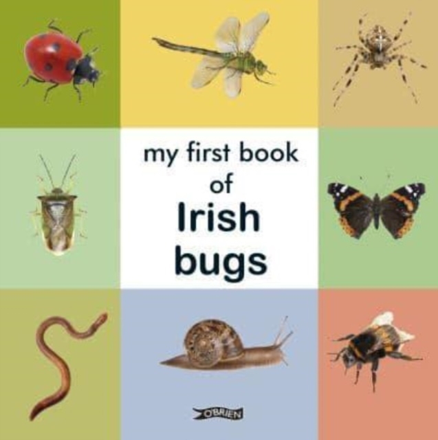 My First Book of Irish Bugs - 