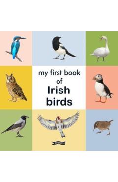 Coperta cărții 'My First Book of Irish Birds -'