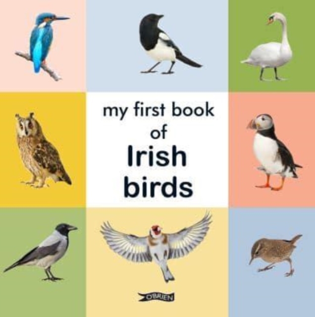 My First Book of Irish Birds - 