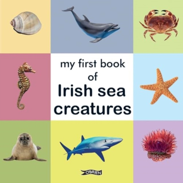 My First Book of Irish Sea Creatures - 