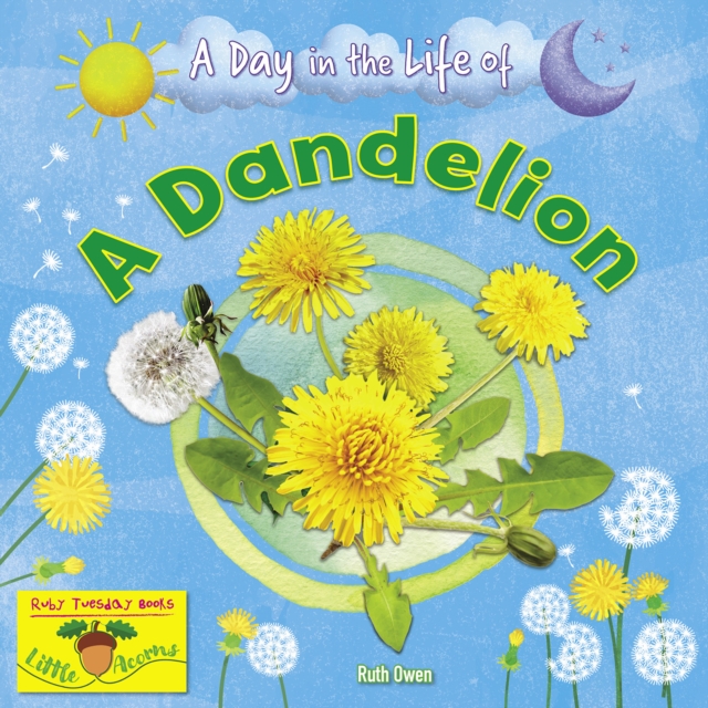 Dandelion - Ruth Owen