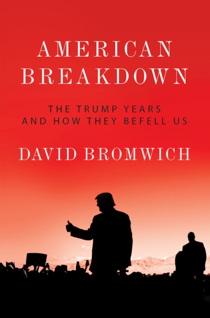 American Breakdown - David Bromwich