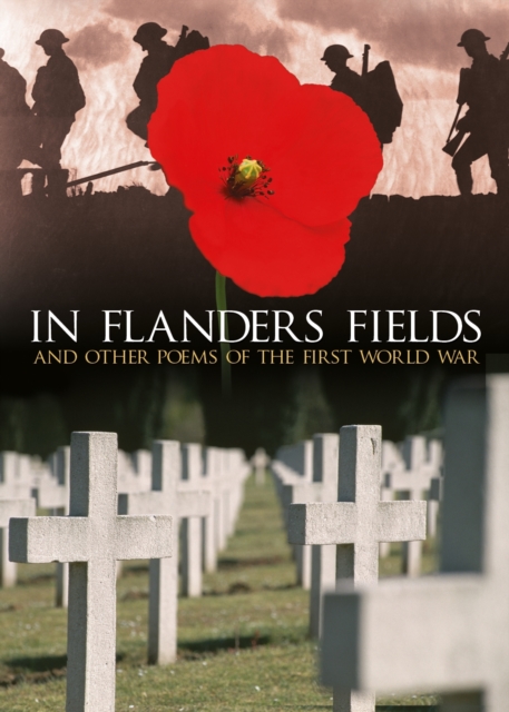 In Flanders Fields - Brian Busby