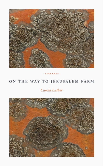 On the Way to Jerusalem Farm - Carola Luther